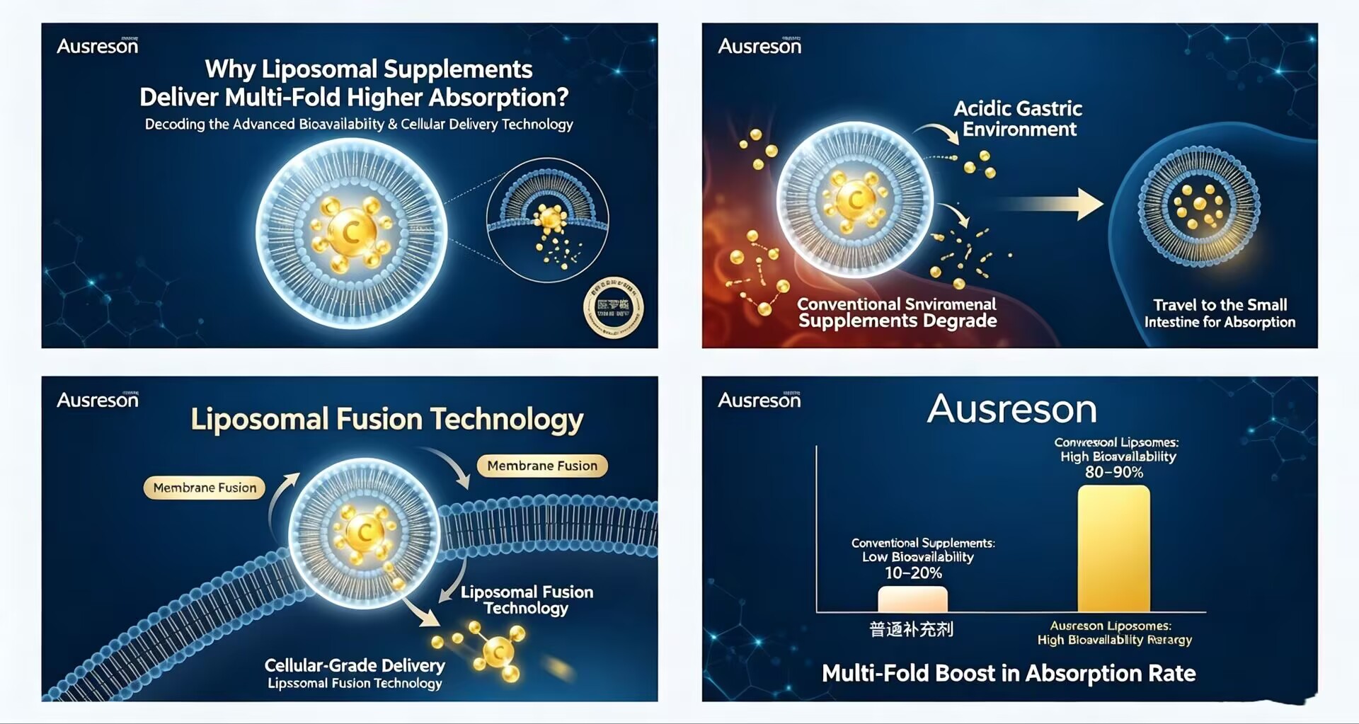 Why Liposomal Supplements Have Better Absorption