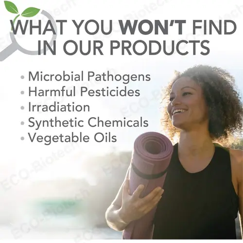 Rosemary liquid drops supplier Focus Memory Brain Support