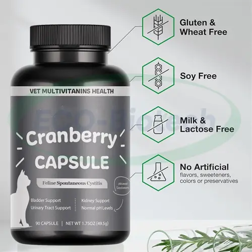 Pet Cranberry Capsules Natural Urinary support | OEM Manufacturer