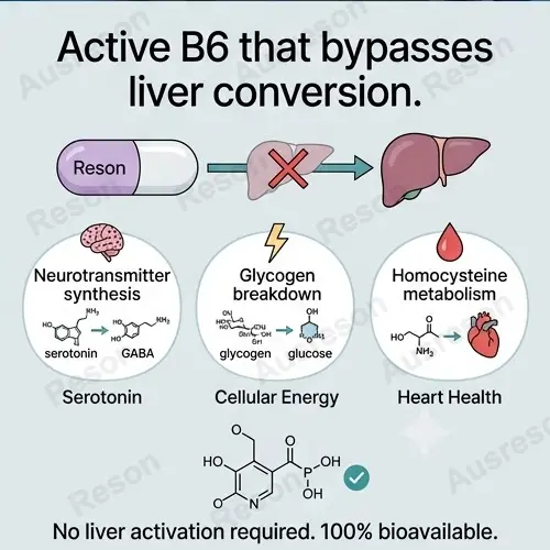 Pyridoxal 5'-Phosphate capsules Active Vitamin B6 supplement | OEM
