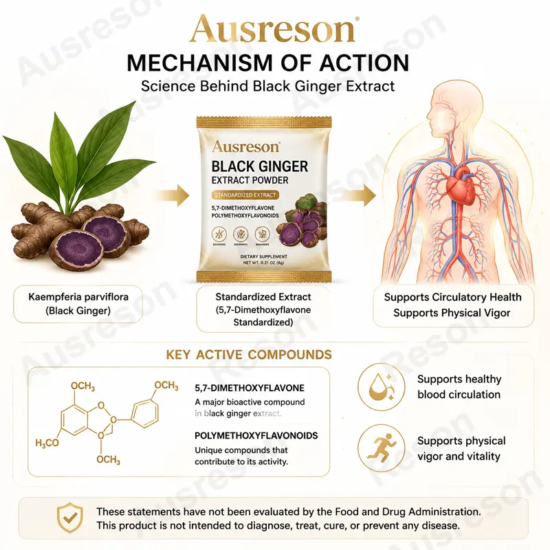 Black Ginger Extract Powder Sachets bulk supplier