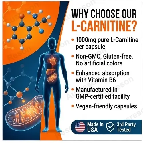L-Carnitine capsules Weight Management supplement | Ausreson