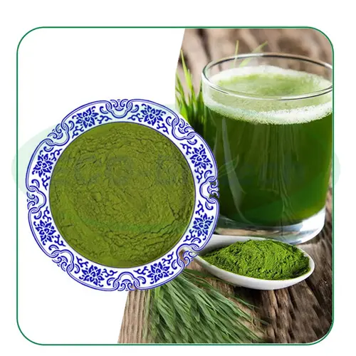 organic barley grass Powder Alkalizing Green Superfood | OEM