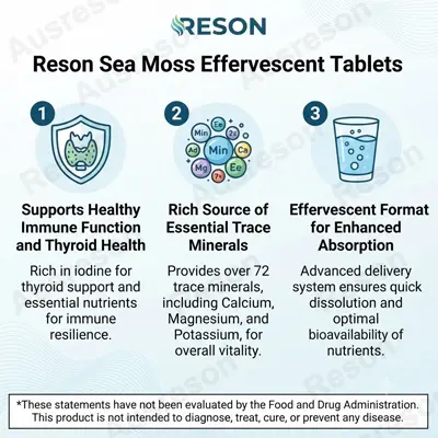 Sea Moss Effervescent Tablets private label Manufacturer