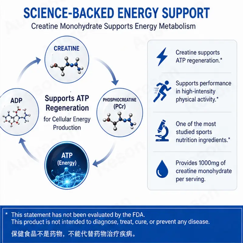 Creatine Liquid Drops high bioavailability no bloating oem manufacturer