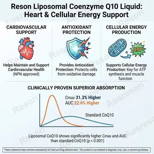 Liposomal Coenzyme Q10 liquid drops bulk wholesale