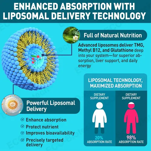 High-Absorption Liposomal Trimethylglycine drops | TMG Supplement