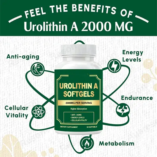 Urolithin A supplement softgels Mitochondria Support