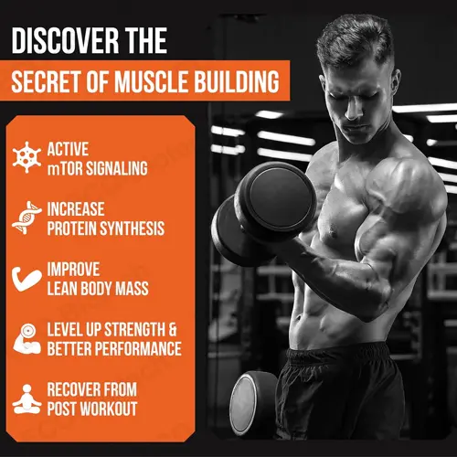 Custom Liposomal Phosphatidic Acid softgles High Bioavailability