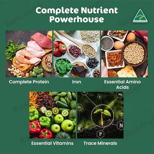 Organic Spirulina Chlorella tablets for detox and energy