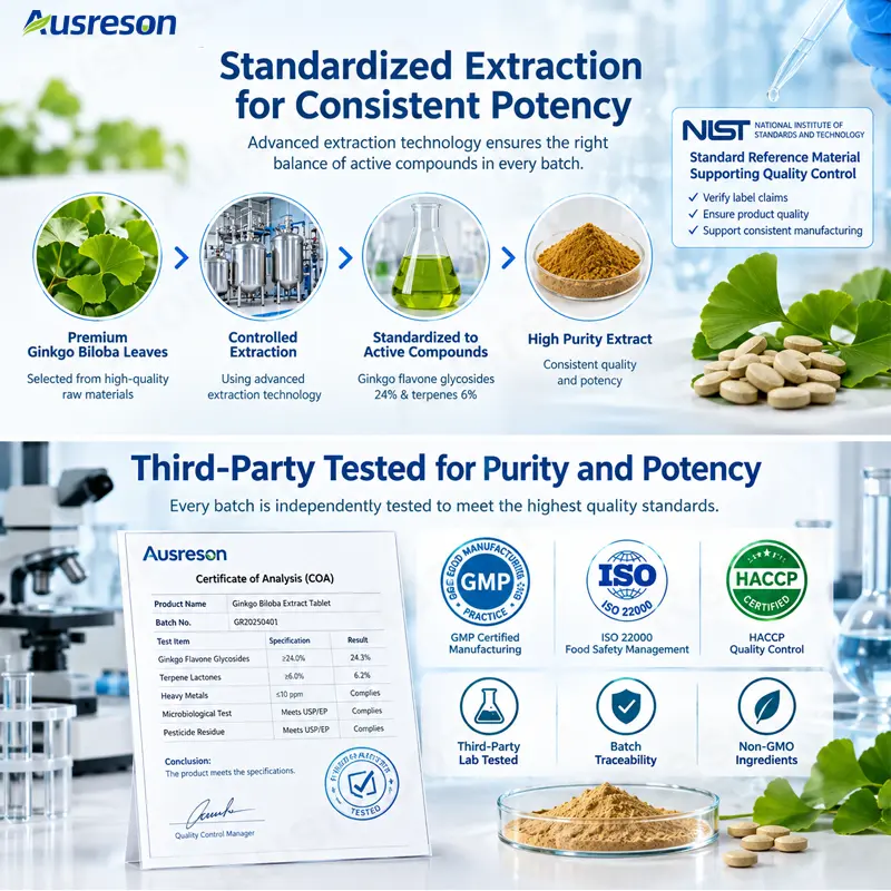 Ginkgo Biloba Tablets Memory and focus supplement Manufacturer