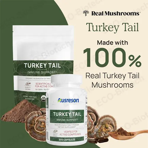 Turkey Tail Mushroom capsules: Immune System & Cellular Health