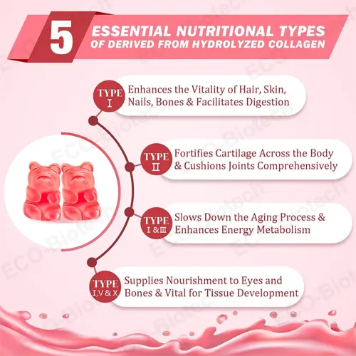 Collagen Gummies for Skin, Hair & Nails | OEM Supplier
