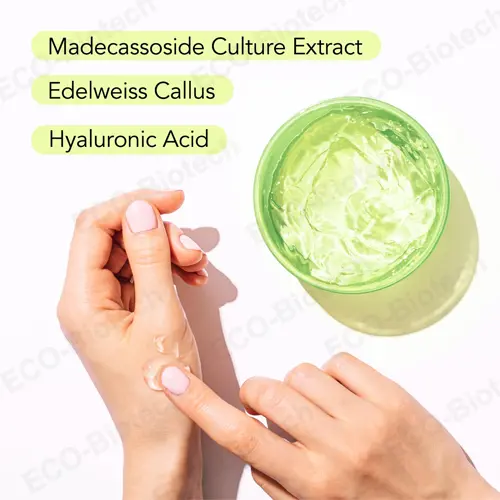 Bulk Supplier Aloe Vera Gel Organic Certified | Reson