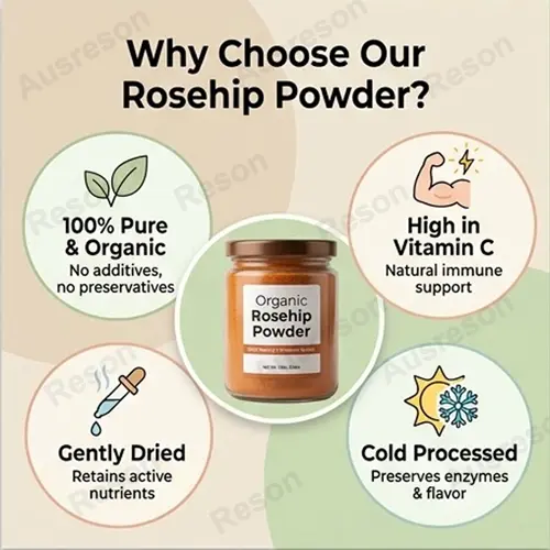 wholesale Natural Rosehip Vitamin C Powder for joint
