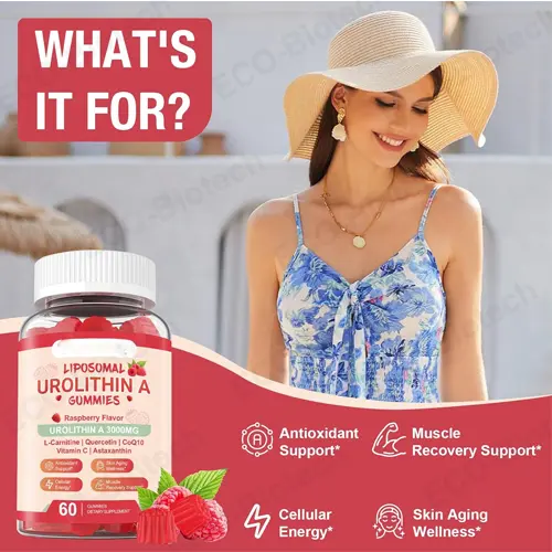 Liposomal Urolithin A Gummies manufacturer | Cellular Support