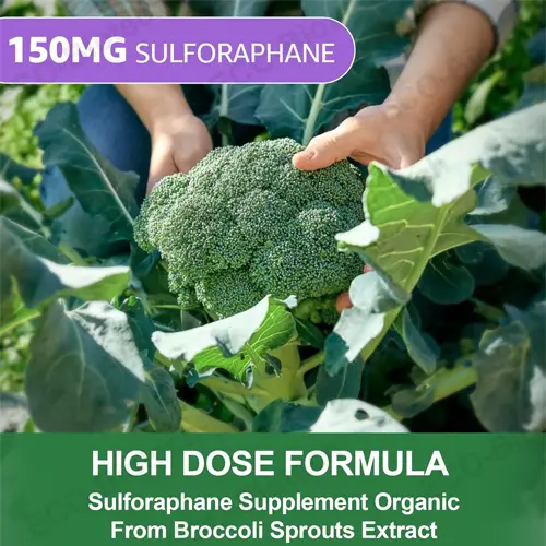Liposomal Sulforaphane Gummies | High Absorption Broccoli Extract | OEM