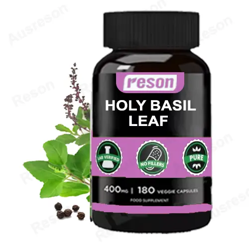 Holy Basil Leaf capsules GMP certified factory | Reson