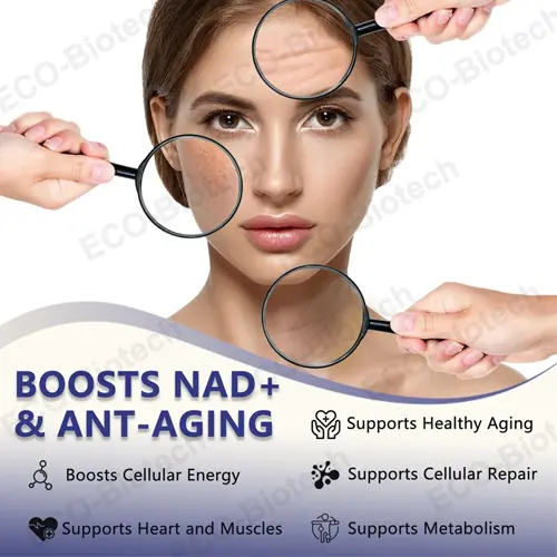 Liposomal Nad and Nr Liquid Drops Private label Manufacturer