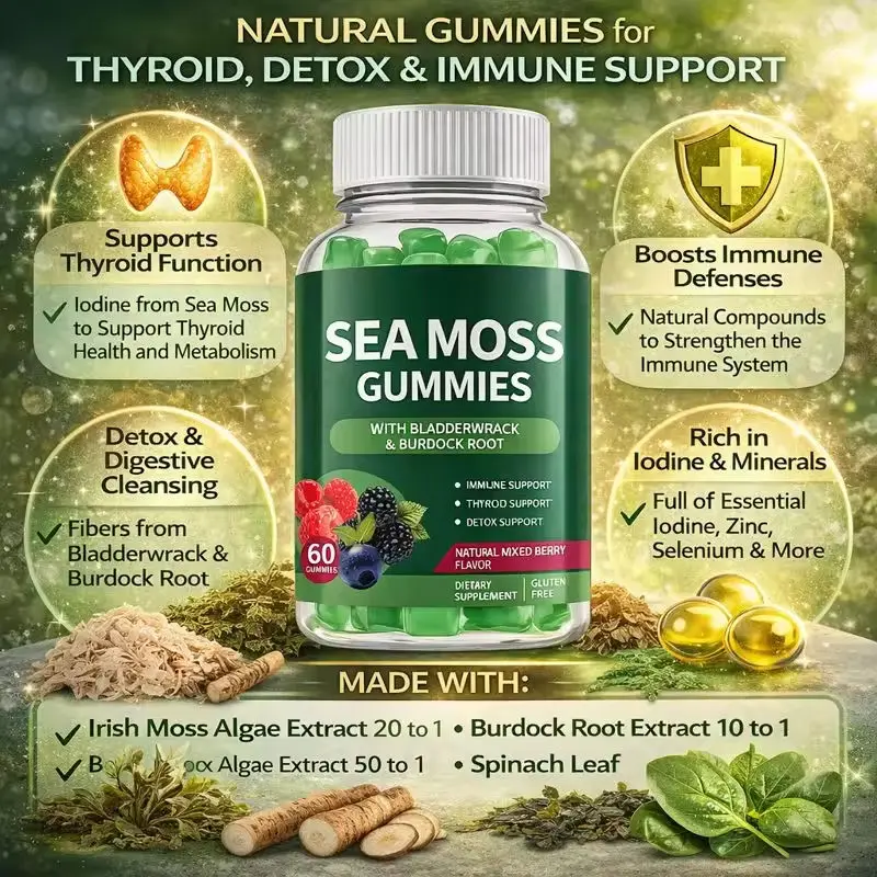 Vegan Sea Moss Bladderwrack Gummies Gut Health Support Manufacturer