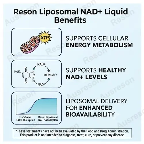 Liposomal NAD+ liquid drops private label Manufacturer