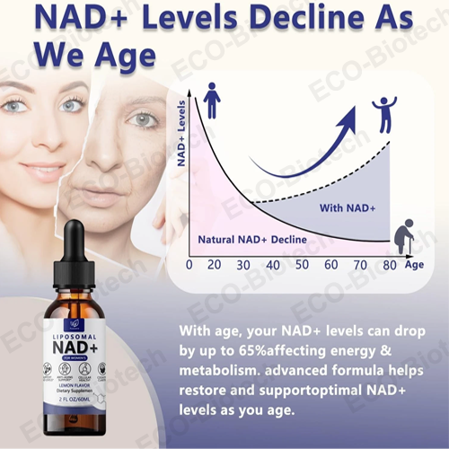 Liposomal Nad and Nr Liquid Drops | Ausreson
