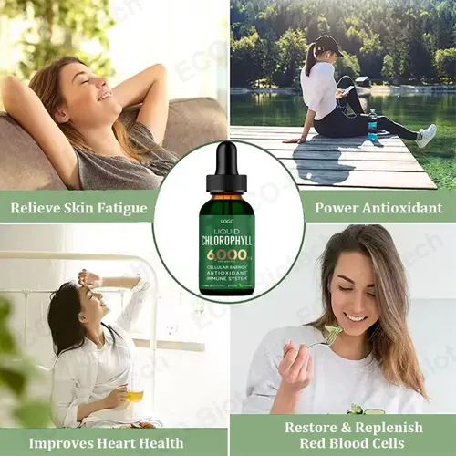 wholesale chlorophyll Liquid drops Internal deodorant & detox