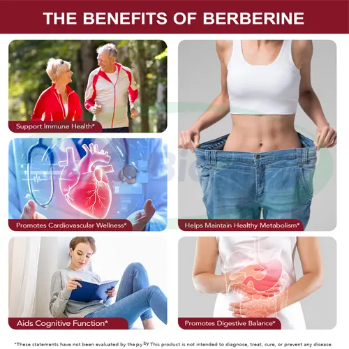 High-Absorption Berberine softgels OEM Manufacturer | Ausreson