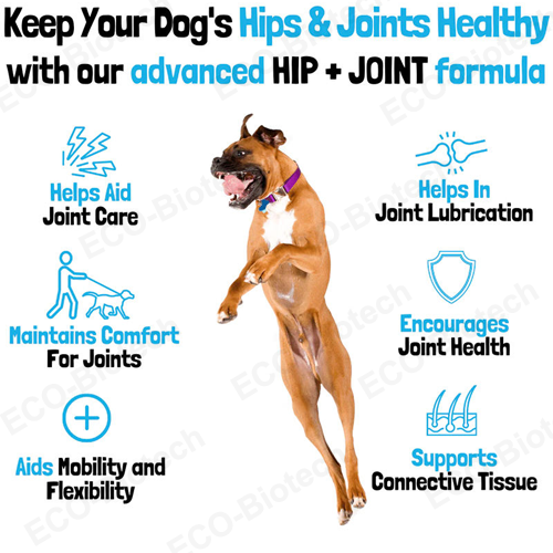 Hip & Joint Support for dogs supplement with Glucosamine chondroitin MSM
