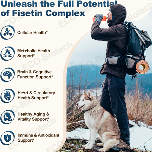 Liposomal Fisetin gummies for brain health oem Private label