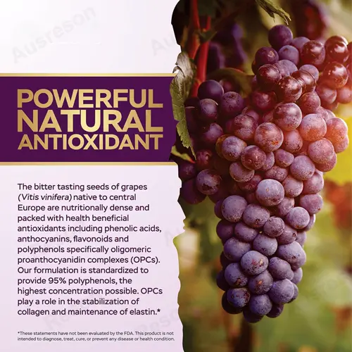 grape seed extract capsules Standardized 95% polyphenols supplement