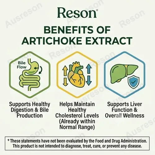 Artichoke extract Capsules OEM Manufacturer