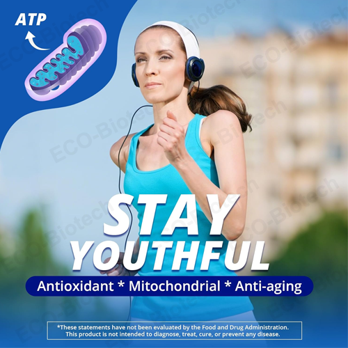 Liposomal Fisetin 200mg Organic Blue Spirulina Gummies supplier