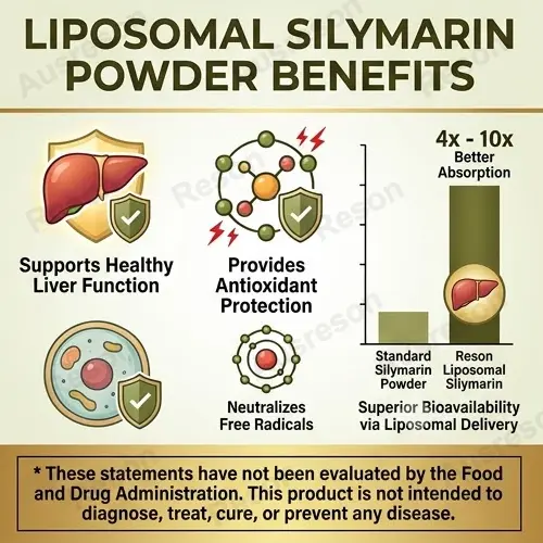 Liposomal Silymarin powder supplement manufacturer & supplier