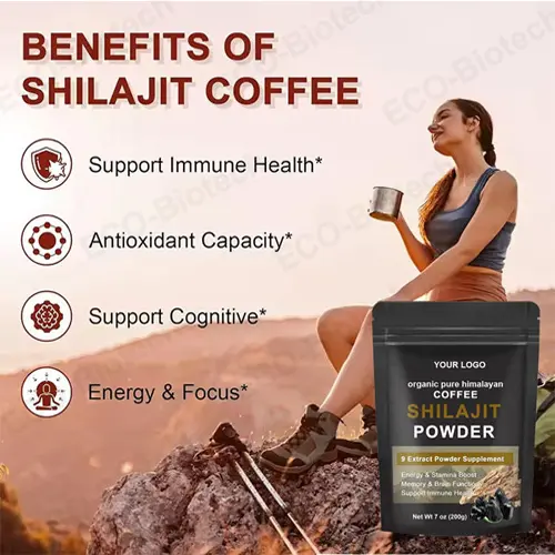 Shilajit Coffee powder 250mg for Clean Energy & Cognitive Support | OEM