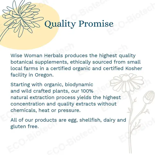 gentian & skullcap capsules | Digestion Support Supplement | Reson