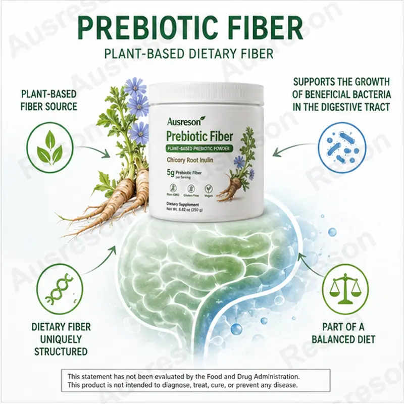 Prebiotic Powder gut health supplement bulk supplier