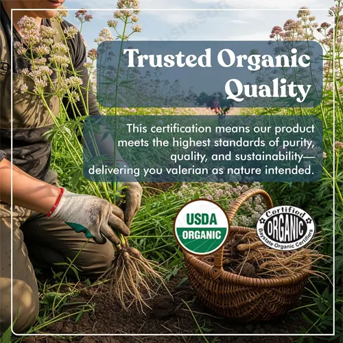 Valerian Root capsules GMP certification | Reson