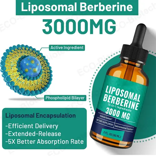 High Absorption Liposomal Berberine Drops | OEM Manufacturer