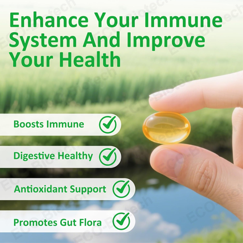 Wild Oregano Oil Softgels capsules with Black Seed Oil | Reson