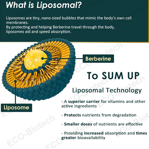 Sugar Free liposomal berberine gummies supplement supplier