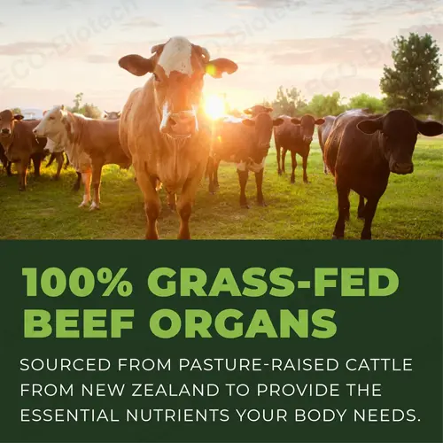 Beef Organ capsules OEM manufacturer | Reson