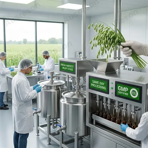 Cold-Pressed Oat seed drops OEM manufacturer